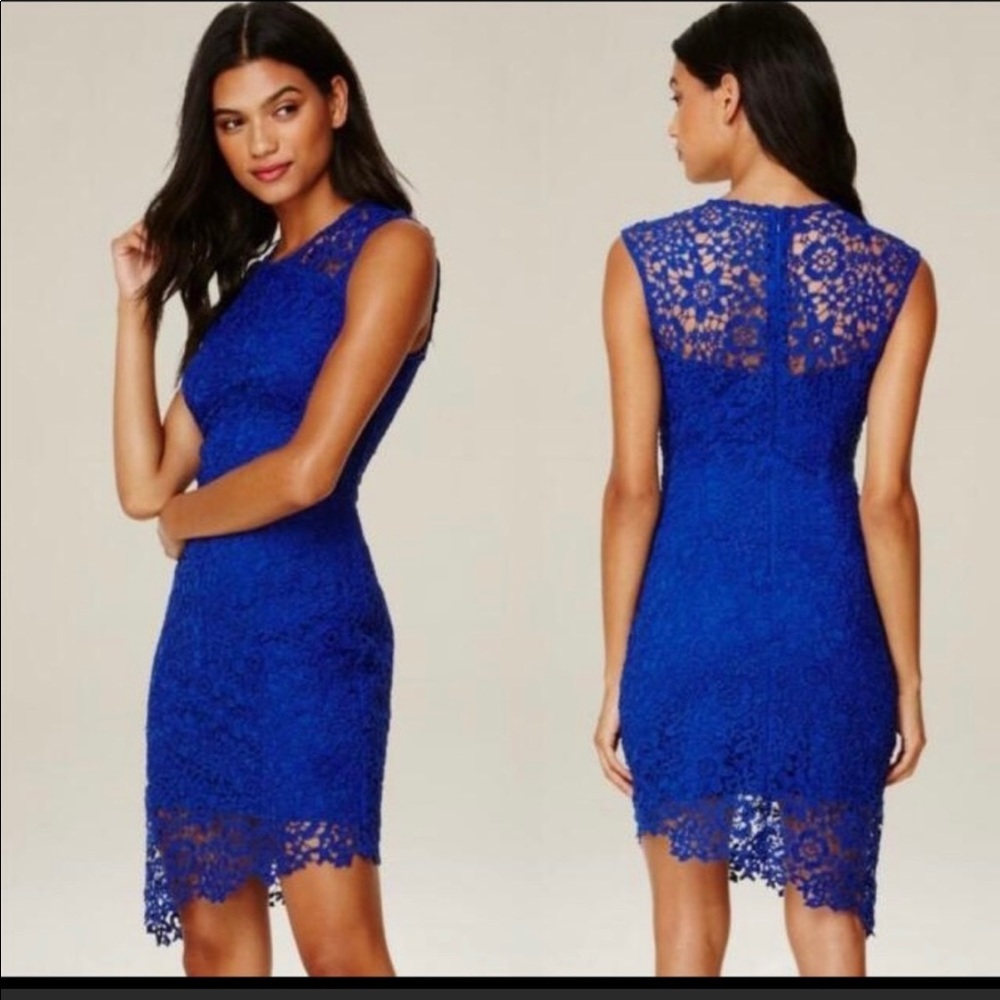 Bebe Lace Sleeveless Dress Cobalt Blue Size 10 New With Tags